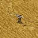 Guardian G.I.