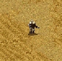 Ranger