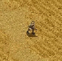 Navy Seal