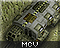 Asian MCV