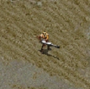 Anthrax Mortar