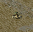Combat Cycle