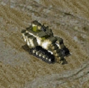 War Miner