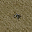 Terror Drone