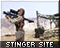 Stinger Site