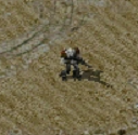Cyborg Reaper