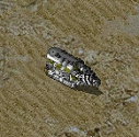Sub APC