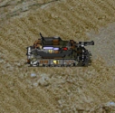 Lasher Tank