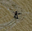 Militant