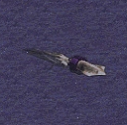 Squid