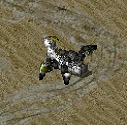 Stinger