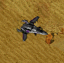 Wyvern